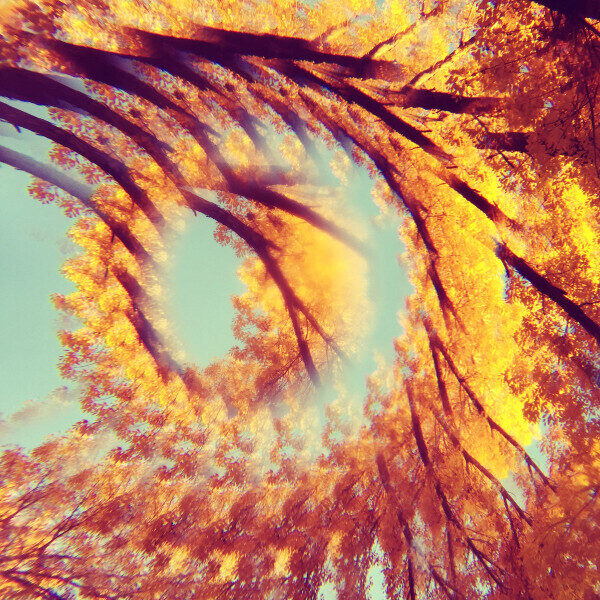 A Hawk And A Hacksaw ‎– Forest Bathing